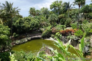 Guadeloupe Août 2015-02834       